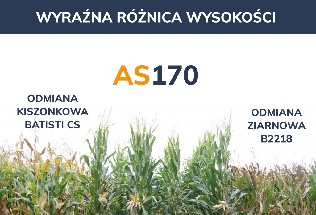 as170 roznica wysokości