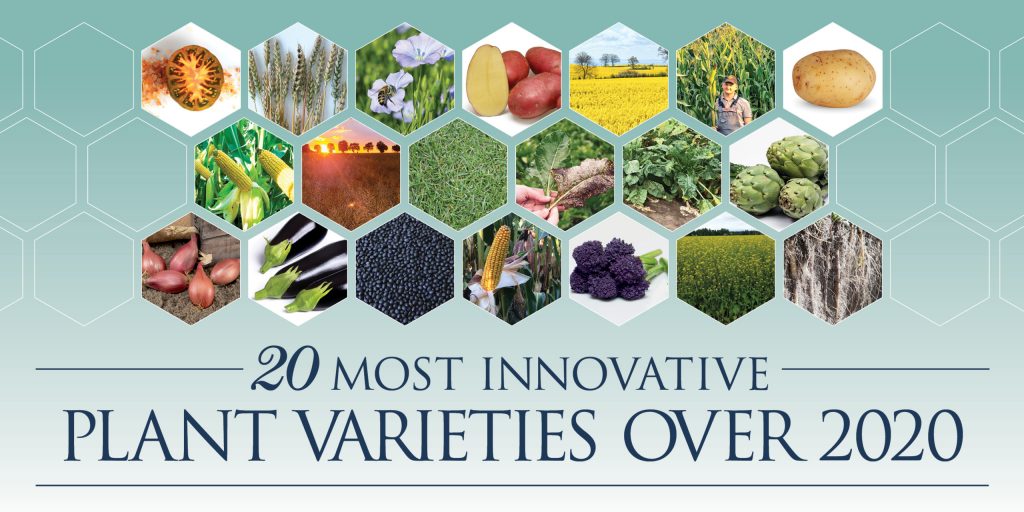 20 most innovative plant varieties over 2020