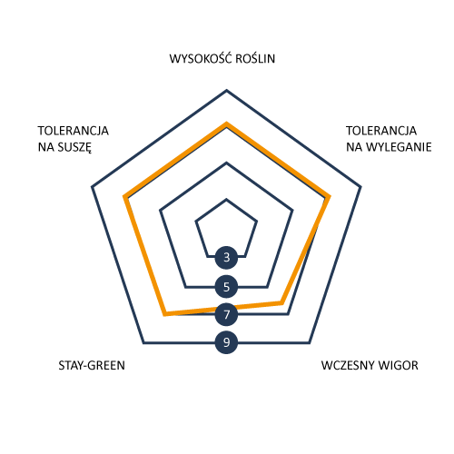 Profil_agronomiczny_BRV2604