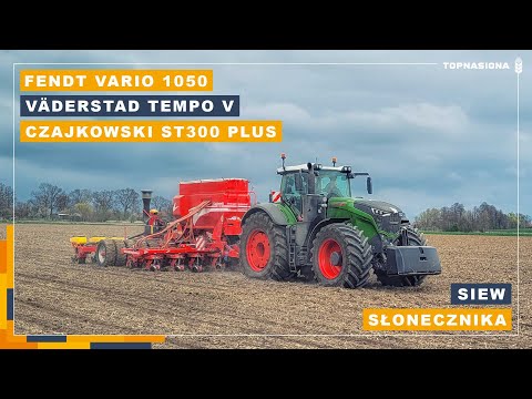 Siew słonecznika Top Nasiona 2022