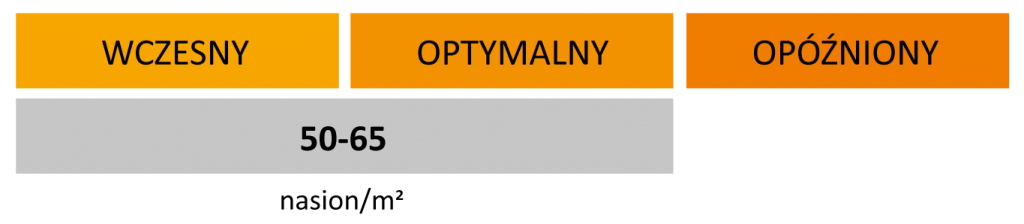 termin-i-norma-wysiewu-rzepaku-populacyjnego-ONCA