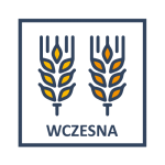 wczesna