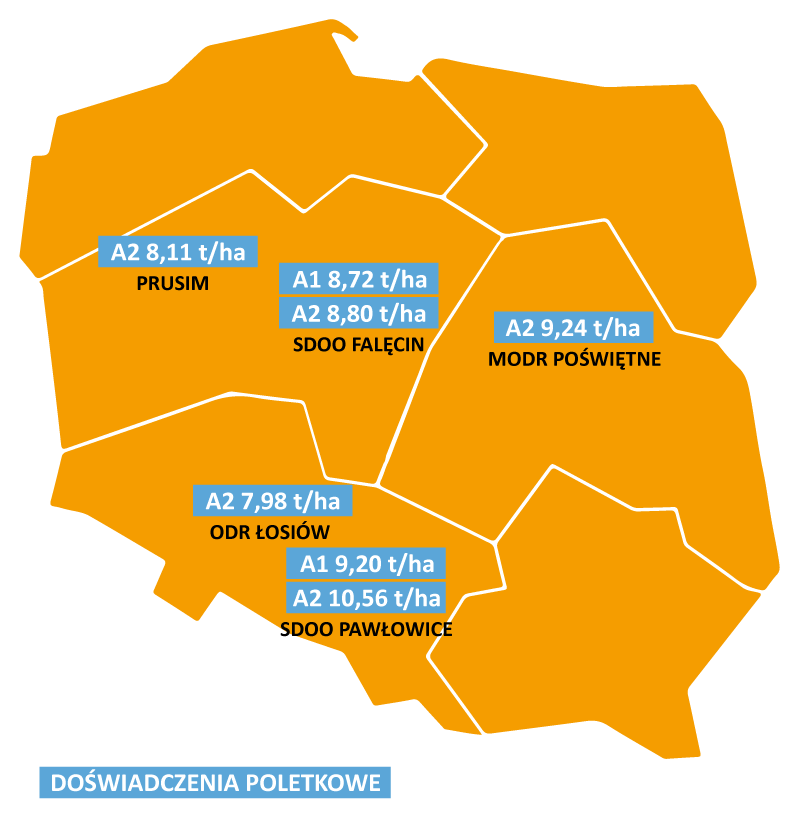 Wyniki_plonowania-Borsalino_2022