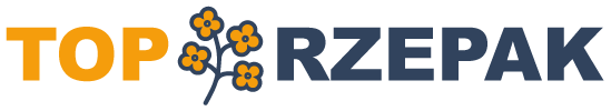 nasiona-rzepaku nasiona rzepaku
