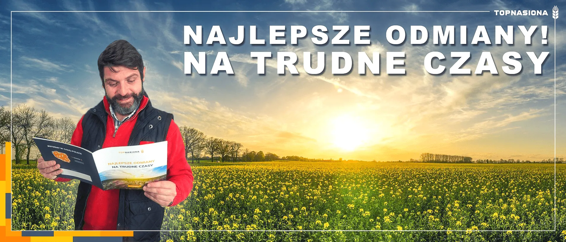rzepak-nasiona rzepak nasiona