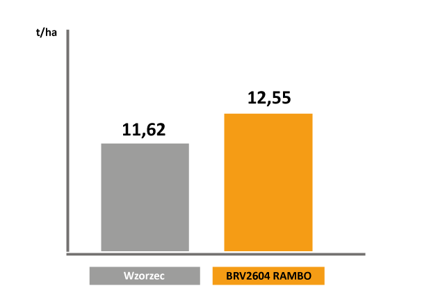 wyniki_plonowania_BRV2604_Rambo_badania_rejestrowe_COBORU_2022