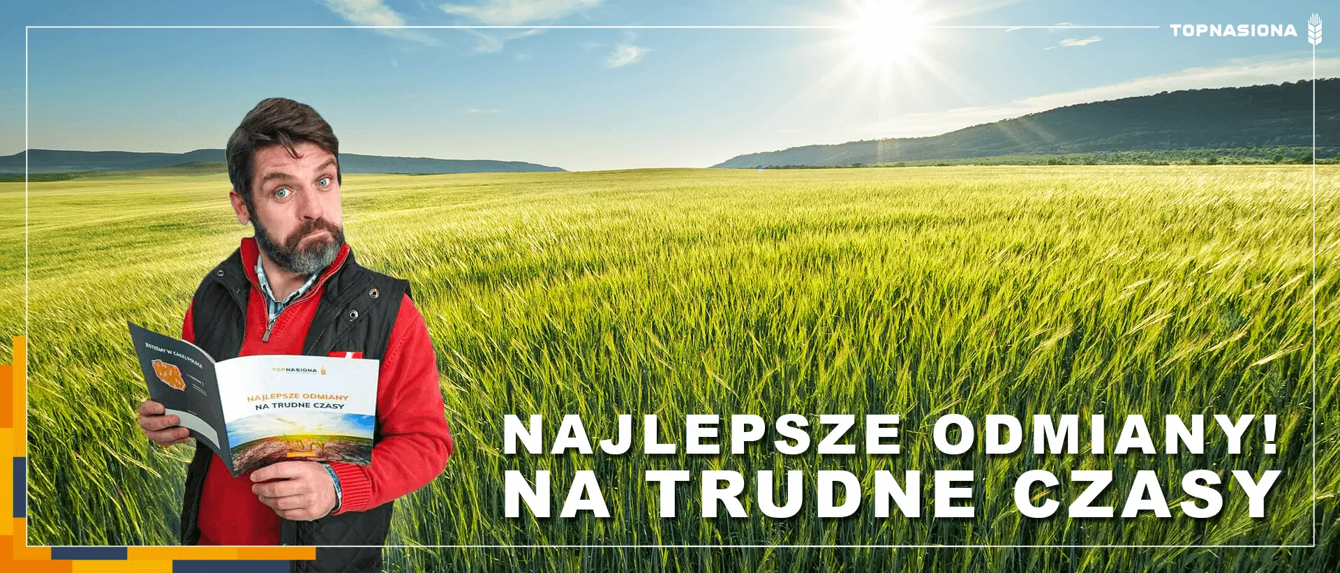 nasiona-pszenicy nasiona pszenicy
