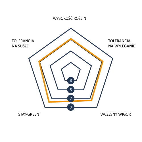 Profil_agronomiczny_obscuro