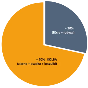 Energia_z_kukurydzy Energia_z_kukurydzy