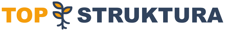 top-struktura-logo