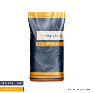 topsilo topsilo