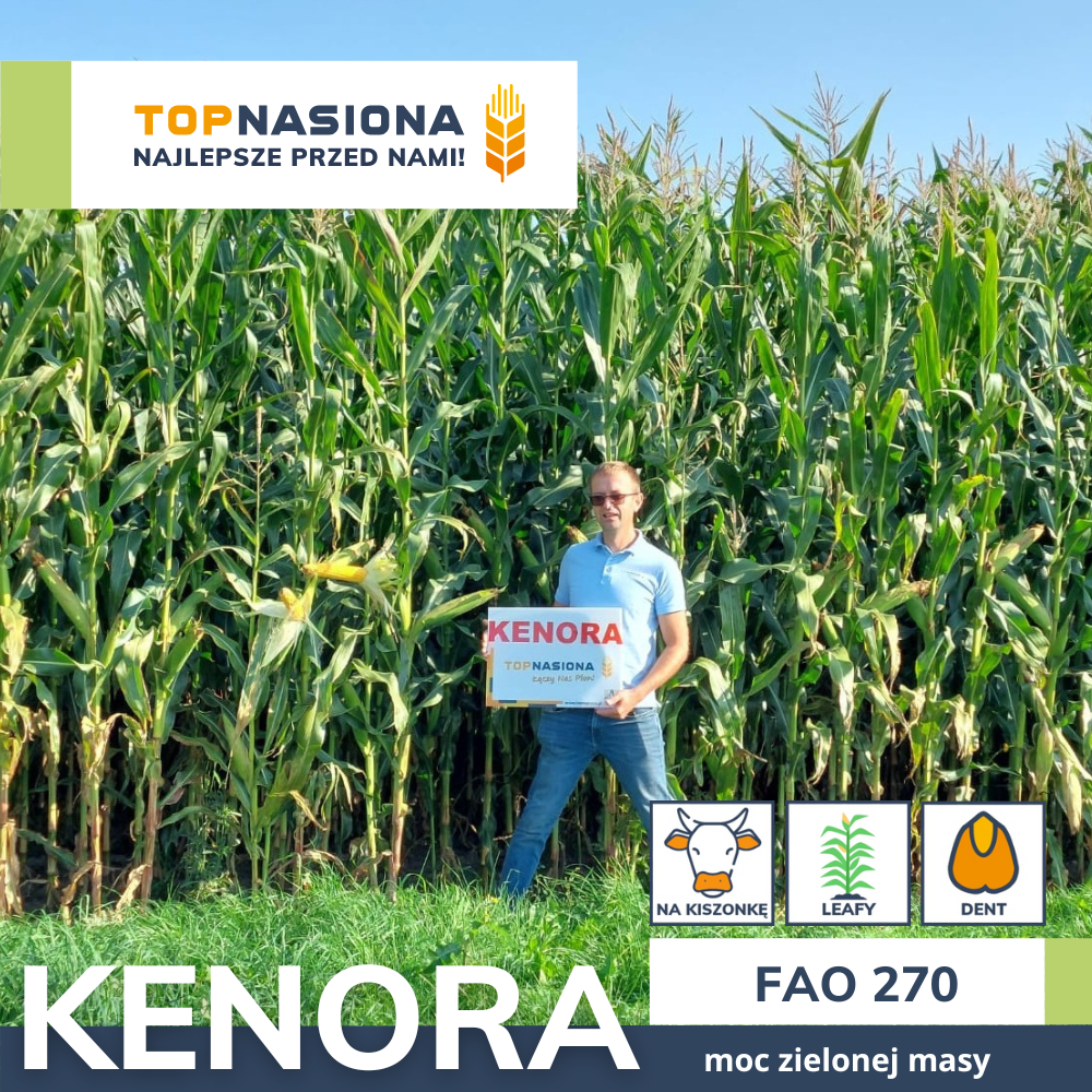 kenora