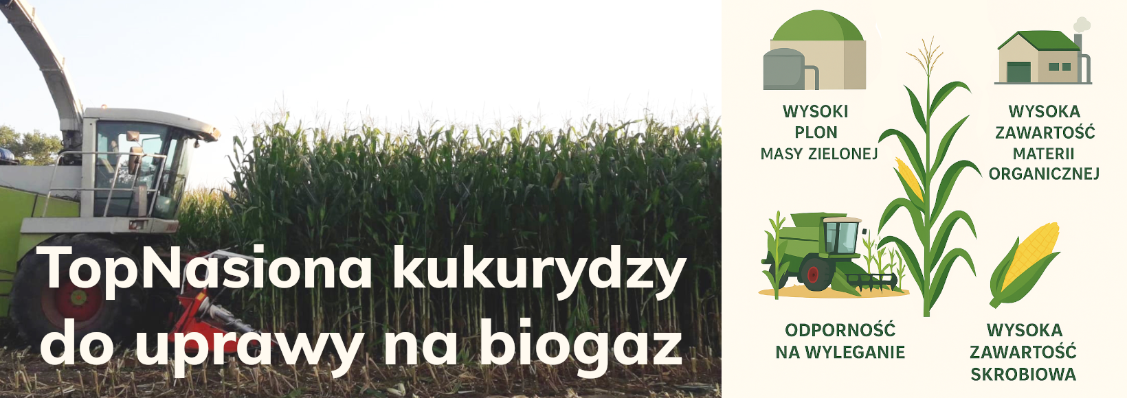 biogaz infografika new na biogaz