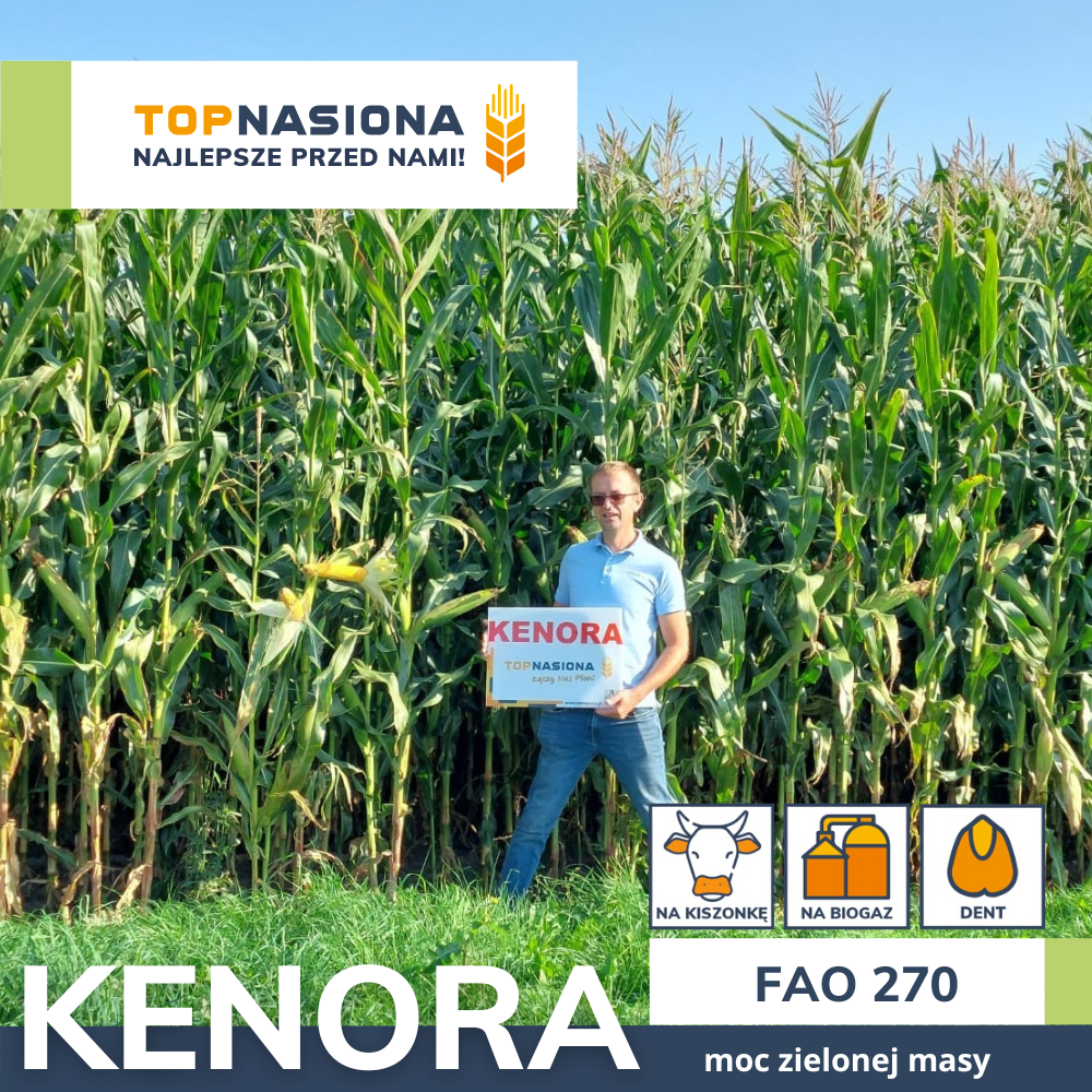 kenora-biogaz kenora biogaz