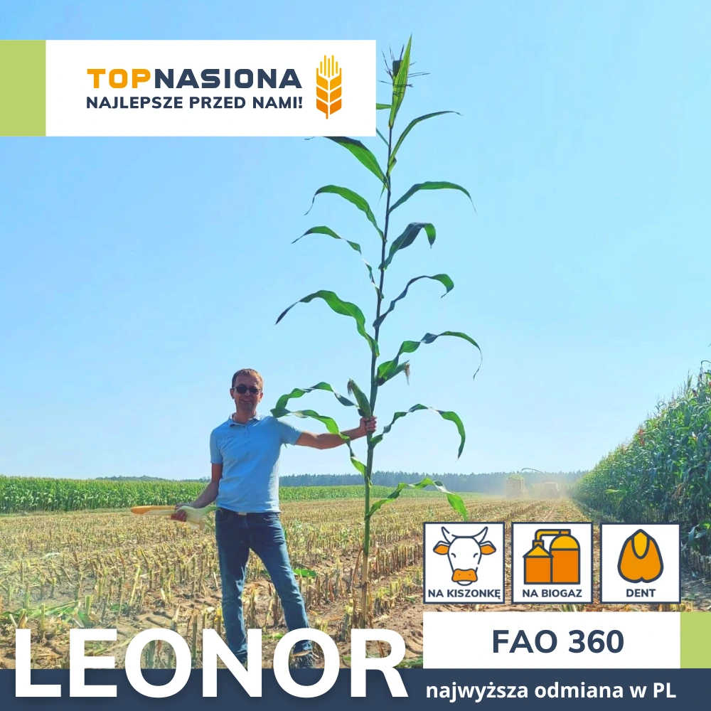 LEONOR leonor biogaz