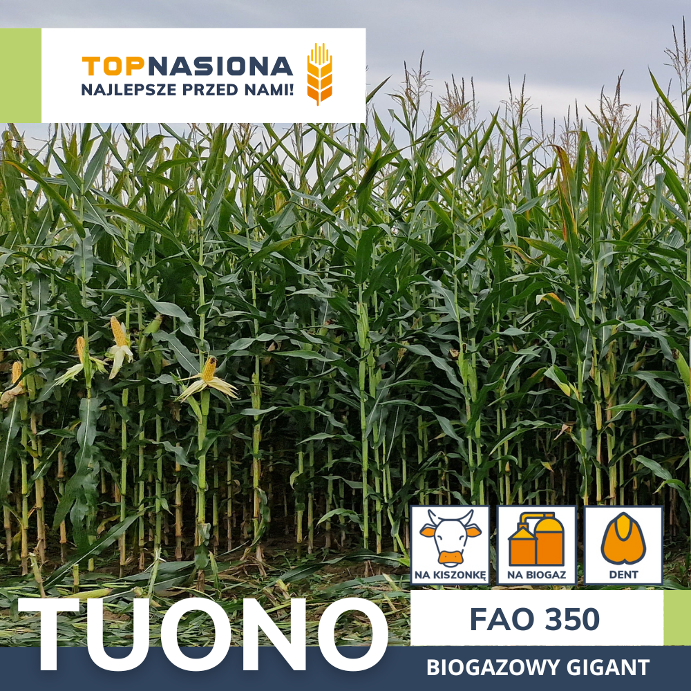 tuono tuono biogaz