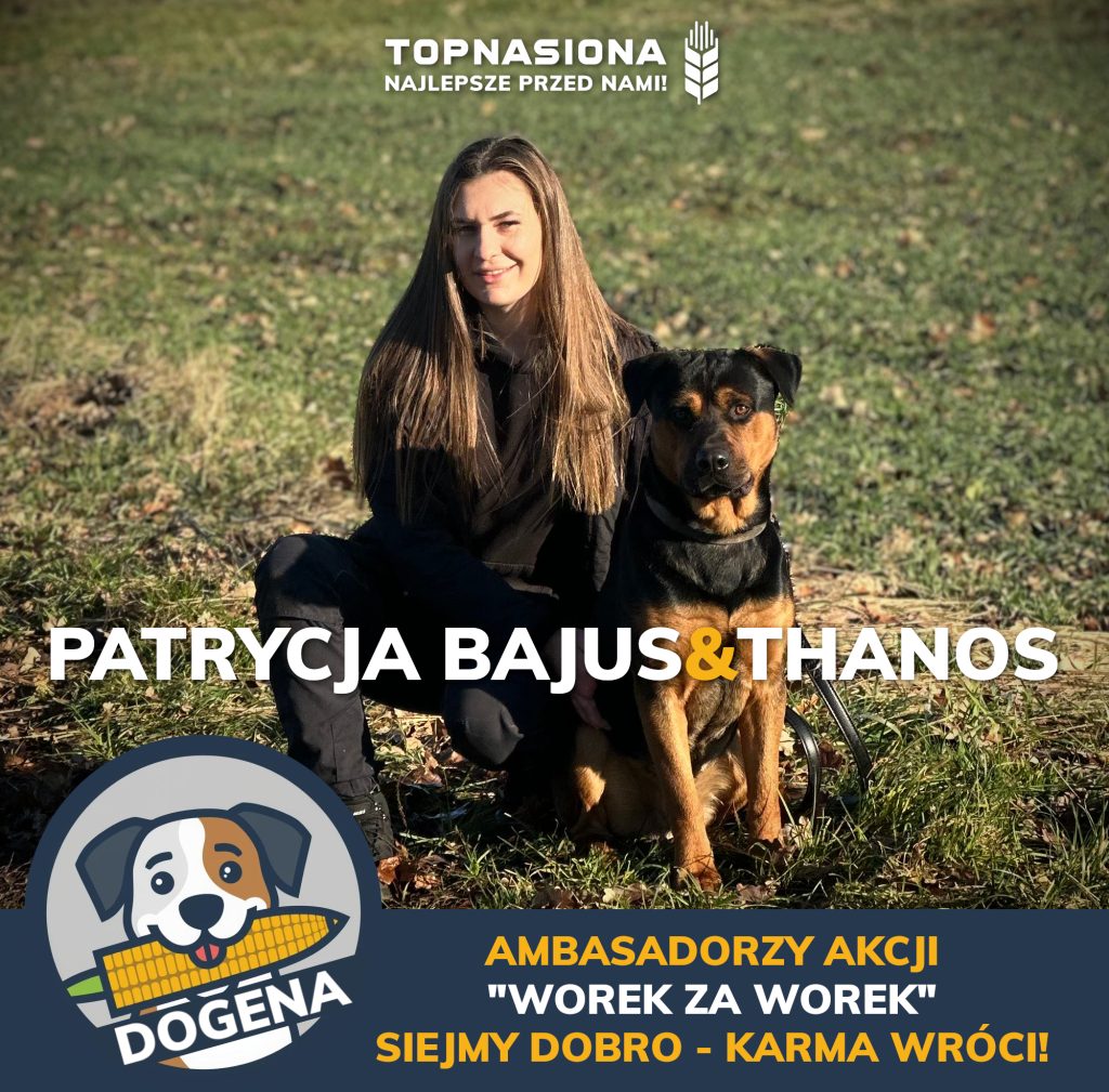 PATI DOGENA pati