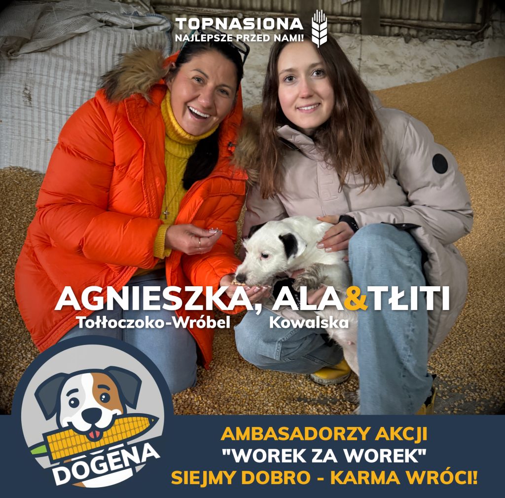 szkotowo worek szkotowo
